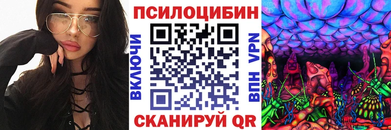 Купить закладки  Апшеронск  Галлюциногенные грибы Psilocybe 